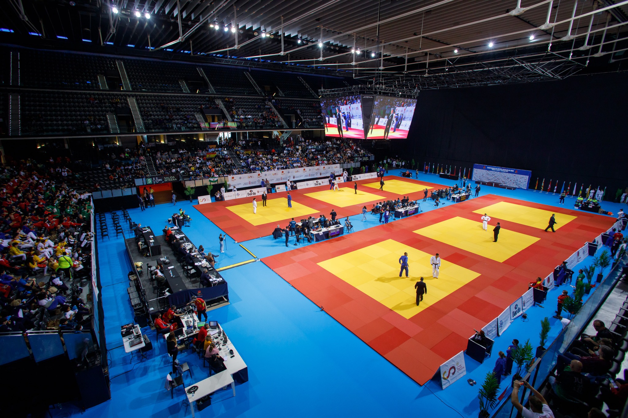 ¡¡¡ MUCHAS GRACIAS A TODOS !!!